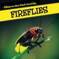 Cover: Fireflies - PowerKids Press