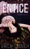 Cover: Entice - Patchwork Press