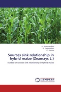 Cover: Sources sink relationship in hybrid maize (Zeamays L.) - LAP Lambert Academic Publishing