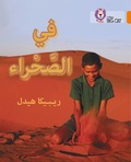 Cover: In the Desert - Collins