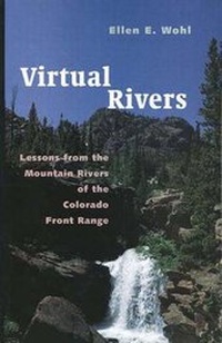 Enlarge image Cover: Virtual Rivers - Yale University Press