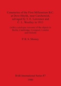 Cover: Cemeteries of the First Millennium B.C.at Deve Huyuk - BAR Publishing