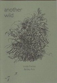 Enlarge image Cover: Another Wild - Hareshaw Press