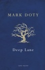 Cover: Deep Lane - Vintage Digital