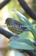 Cover: Diseases of Canaries - Read Books Ltd.