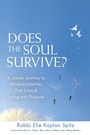 Cover: Does the Soul Survive? - Jewish Lights Publishing