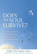 Cover: Does the Soul Survive? - Jewish Lights Publishing
