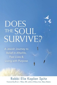 Enlarge image Cover: Does the Soul Survive? - Jewish Lights Publishing