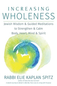Enlarge image Cover: Increasing Wholeness - Jewish Lights Publishing