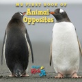 Cover: My First Book of Animal Opposites (National Wildlife Federation) - Imagine Publishing, Inc