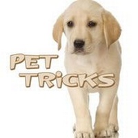Enlarge image Cover: Pet Tricks - Rourke Publishing