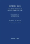 Cover: Kommentar - De Gruyter