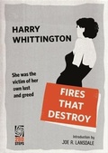 Cover: Fires That Destroy - 280 Steps