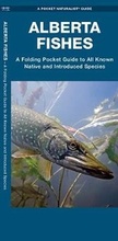 Cover: Alberta Fishes - Waterford Press Ltd
