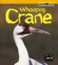 Enlarge image Cover: Animals in Danger: Whooping Crane Paperback - Raintree Publishers