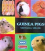 Cover: Pets: Guinea Pigs (Paperback) - Raintree