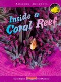 Cover: Amazing Journeys: Inside a Coral Reef (Cased) - Raintree Publishers