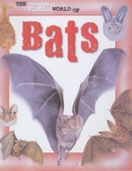 Cover: The Secret World of: Bats - Raintree Publishers