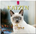 Cover: Katzen 2016 - St&uuml;rtz