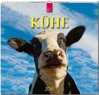 Abbildung von: Kühe 2016 - Stürtz