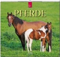 Abbildung von: Pferde 2016 - Stürtz