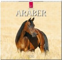 Abbildung von: Araber 2016 - Stürtz