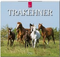 Abbildung von: Trakehner 2016 - Stürtz