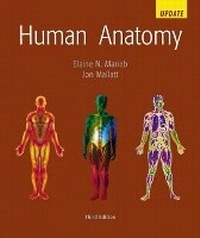 Abbildung von: Human Anatomy Update - Pearson