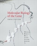 Cover: Molecular Biology of the Gene - Pearson