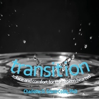 Enlarge image Cover: Transition - Richer Life, LLC