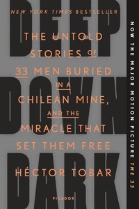 Enlarge image Cover: Deep Down Dark - Picador USA