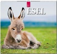 Abbildung von: Esel 2016 - Stürtz