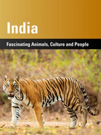 Abbildung von: India - Tipp 4