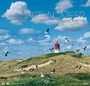 Cover: Inseln & Meer 2016 - Eiland