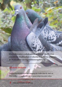 Abbildung von: Minimalinvasive endoskopisch gestützte Sterilisation männlicher Stadttauben (Columba livia forma urbana) als Maßnahme zur Populationsregulierung - VVB Laufersweiler Verlag