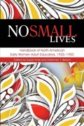 Cover: No Small Lives - Information Age Publishing