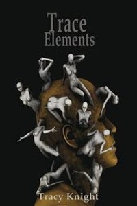 Enlarge image Cover: Trace Elements - Perfect Crime Books