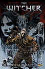 Cover: The Witcher, Band 1 - Panini Verlags GmbH