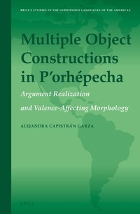 Abbildung von: Multiple Object Constructions in P'orhepecha - Brill
