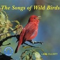 Cover: The Songs of Wild Birds - Houghton Mifflin