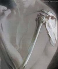 Enlarge image Cover: Human Anatomy - Prentice Hall
