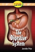 Cover: The Digestive System - Teacher Created Materials