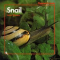 Cover: Snail - A & C Black (Childrens books)