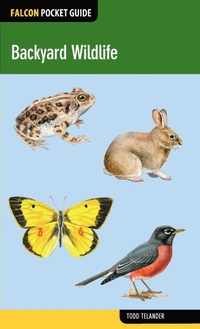 Enlarge image Cover: Backyard Wildlife - Falcon Press Publishing