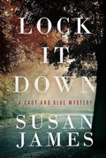 Cover: Lock it Down - BOOKBABY