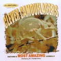 Cover: Clever Camouflagers - Northword Press,U.S.