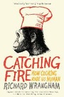 Cover: Catching Fire - Profile Books Ltd
