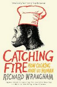 Enlarge image Cover: Catching Fire - Profile Books Ltd