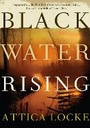 Cover: Black Water Rising - Serpent's Tail