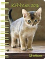 Cover: Kittens 2016 - Neumann Verlage GmbH & Co. KG